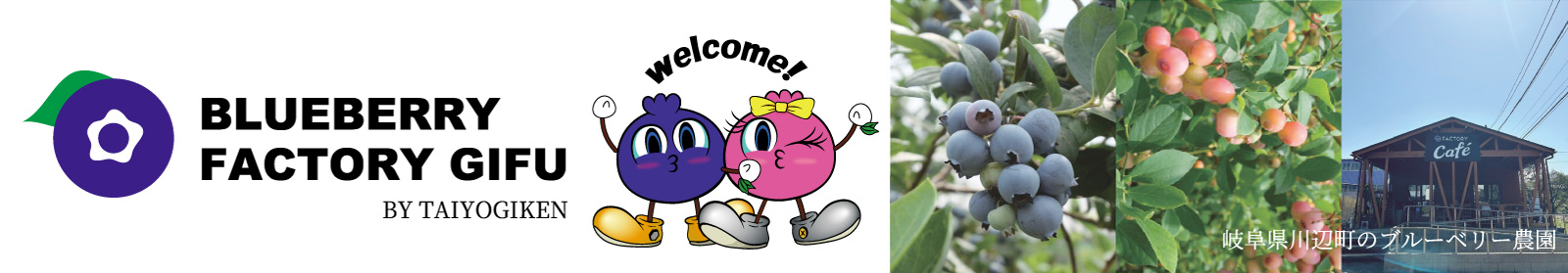 ブルーベリーファクトリー岐阜